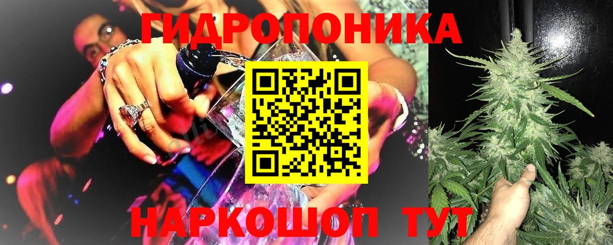 Шишки марихуана сатива Печора